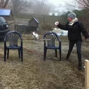 Blanding af racer Belle