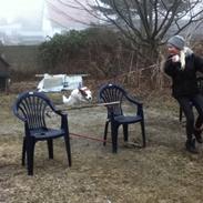 Blanding af racer Belle