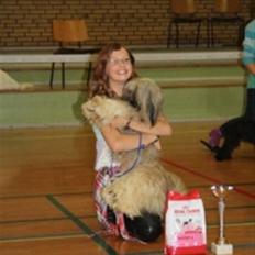 Lhasa apso Syrenens Casino Royale