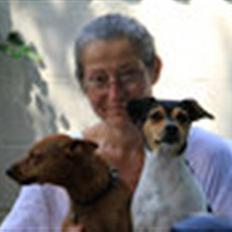 Dvaergpinscher Santos