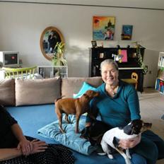 Dvaergpinscher Santos