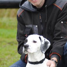 Blanding af racer Gaia