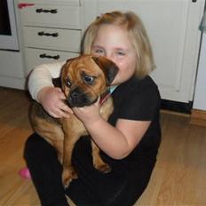 Blanding af racer Bambi