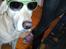 Blanding af racer Balou R.I.P.