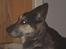 Blanding af racer sigurt R.I.P