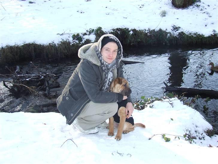 Blanding af racer Tove billede 9