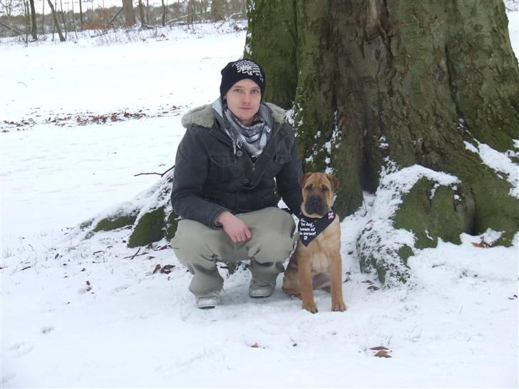 Blanding af racer Tove billede 16