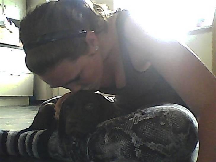 Labrador retriever KASJA * Solgt d.19 - 02 - 2012* - Mig & Kasja :-) billede 7