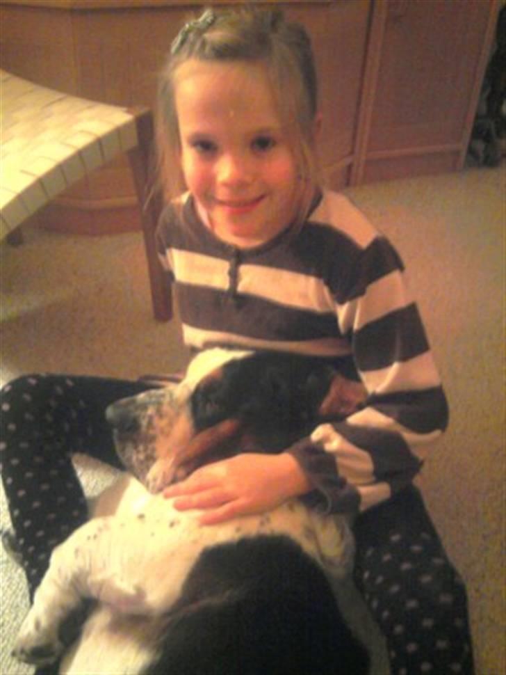 Basset hound Holger - Jeg eeelsker børn billede 18