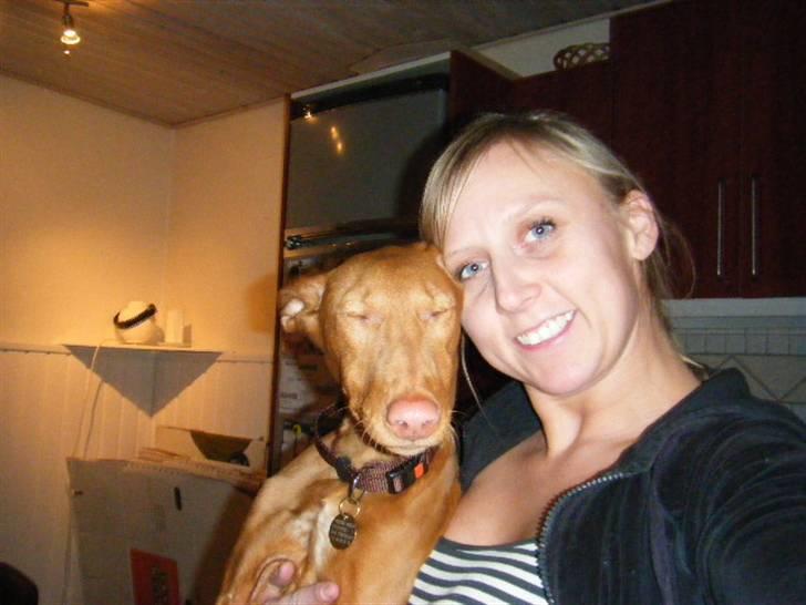 Pharaohound Vaskurs Kixia Qiwidotter billede 3