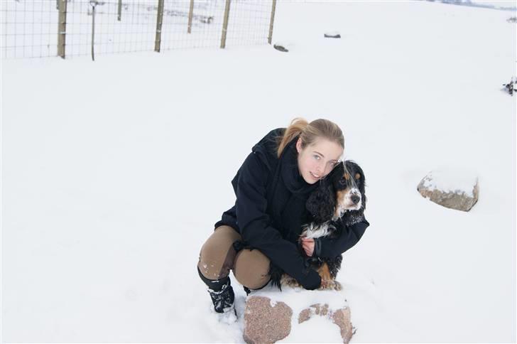 Cocker spaniel Aslan - Billede 17 - Aslan og jeg hygger i vintervejret Vinter 2010 billede 17