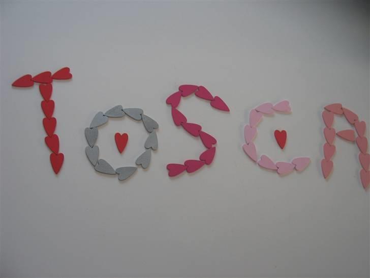 Basset hound Tosca billede 8