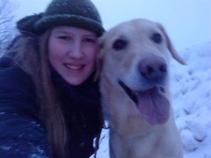 Labrador retriever Terry - I sneen :D (Foto: Elisabeth Bonne Knudsen) billede 9
