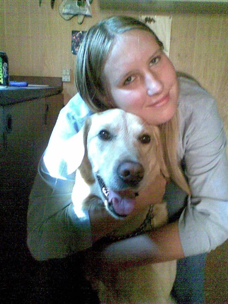 Labrador retriever Terry - Du er så dejlig Terry <3 (Foto: Elisabeth Bonne Knudsen) billede 10