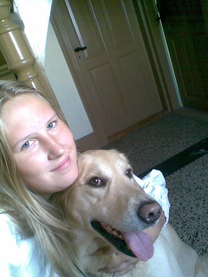 Labrador retriever Terry - Du er så dejlig dreng <3 (Foto: Mig) billede 12