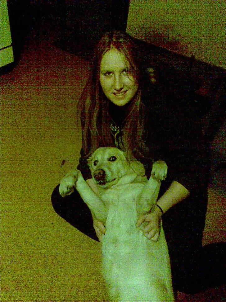 Labrador retriever Terry - Vi flader ud :D (Foto: Elisabeth Bonne Knudsen) billede 16