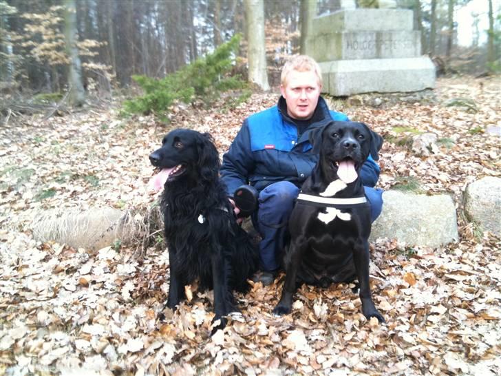 Blanding af racer Basse - Basse & Bølle 2010 billede 14