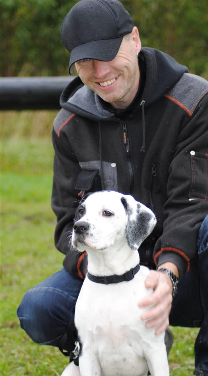 Blanding af racer Gaia billede 2