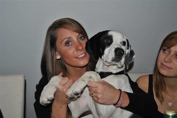 Blanding af racer Gaia billede 4