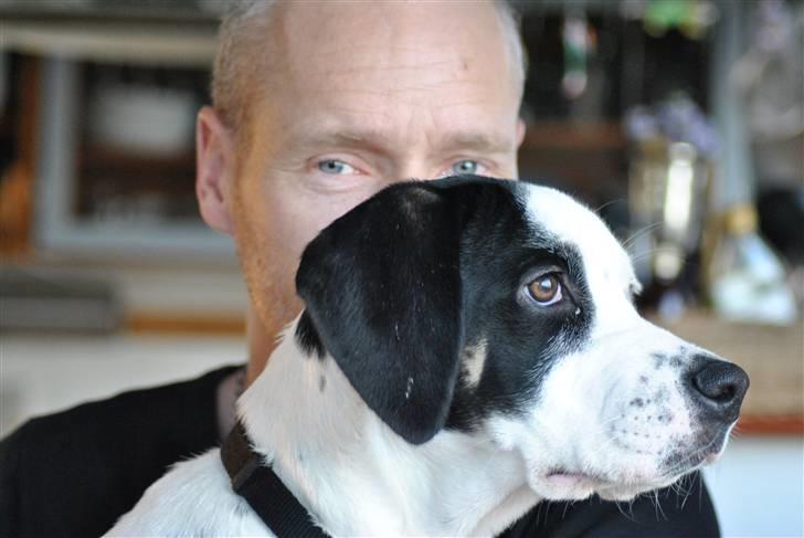 Blanding af racer Gaia billede 5