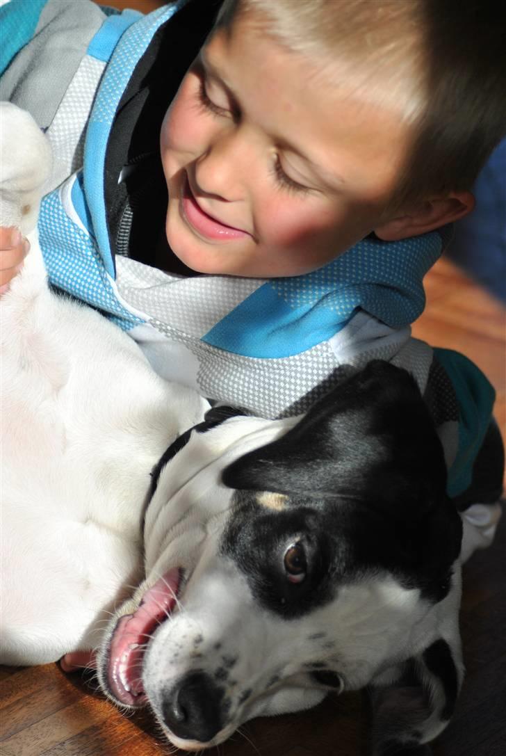 Blanding af racer Gaia billede 10