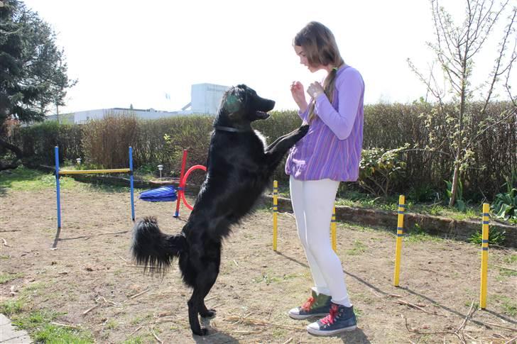 Blanding af racer Junior <3 - Mig & Hudi!<3 Billede taget af Frederikke (min søster) :D billede 11