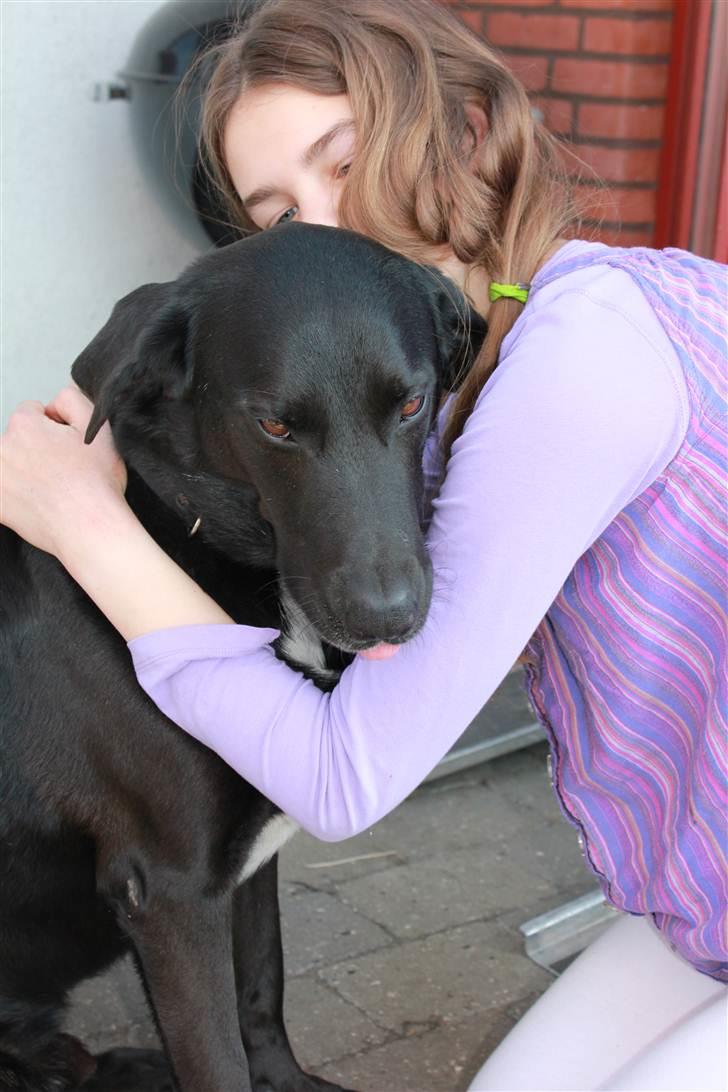 Blanding af racer Kenzo <3 - Jeg elsker dig<3 :D Billede taget af Frederikke (min søster) :D billede 12