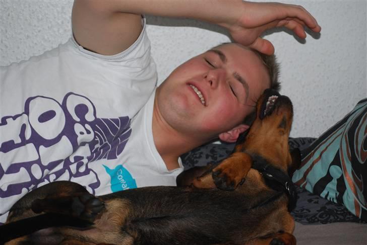 Gravhund Balder - Leger med min kæreste ;) billede 10