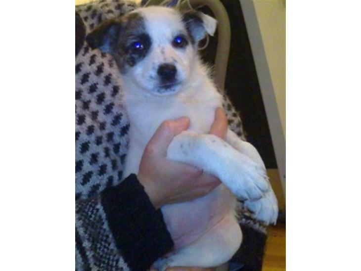 {{currentPhoto.altText}} billede {{currentPhoto.number}}