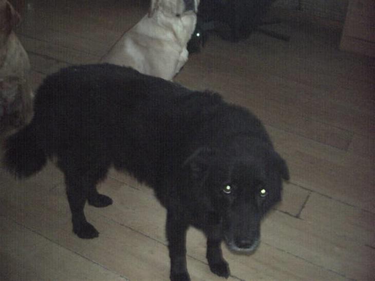 {{currentPhoto.altText}} billede {{currentPhoto.number}}