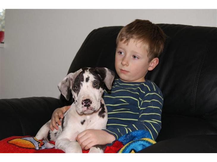 {{currentPhoto.altText}} billede {{currentPhoto.number}}