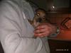 Staffordshire bull terrier Milo