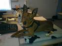 Dvaergpinscher Kalle