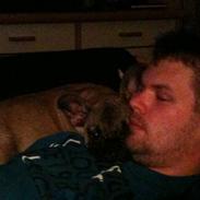 Fransk bulldog Nelly