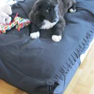 Blanding af racer Mario 