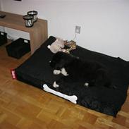 Blanding af racer Mario 