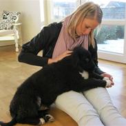 Blanding af racer Mario 