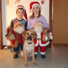 Blanding af racer Tyson