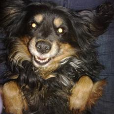 Blanding af racer Max