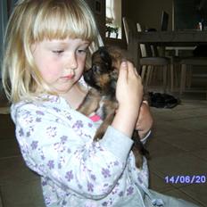 Blanding af racer King