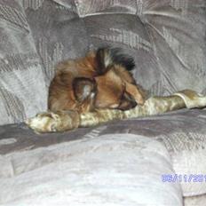 Blanding af racer King