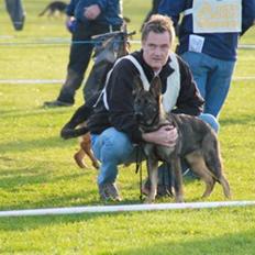 Schæferhund Team Kenzally Bascha