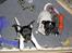 Jack russell terrier Bailey