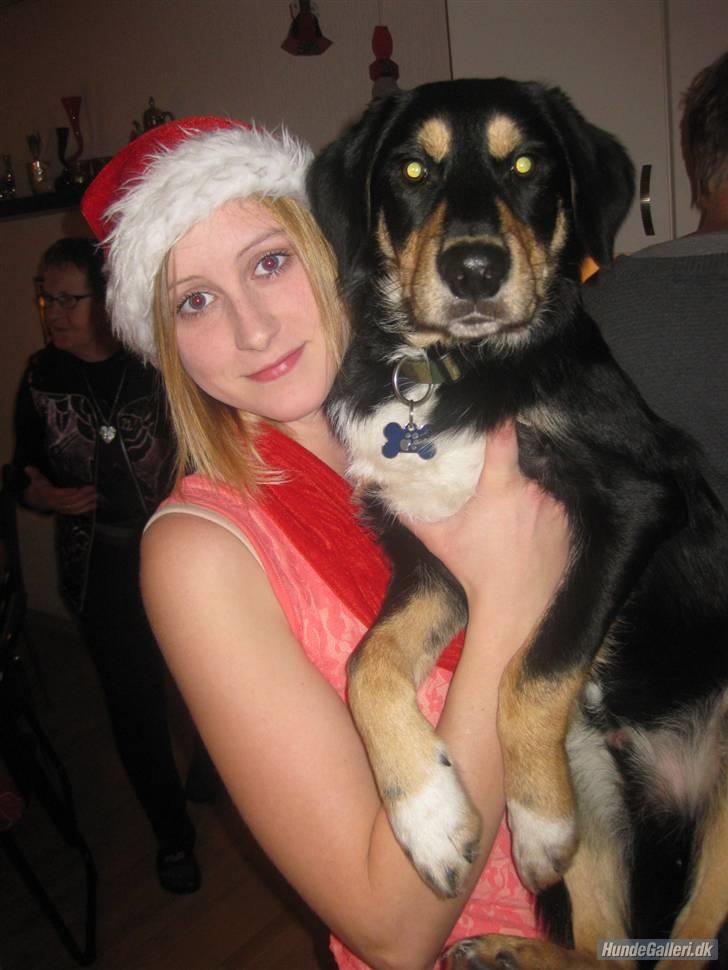 Blanding af racer Coda - Tja selvom man er 7 mdr kan man godt blive løftet :) billede 11