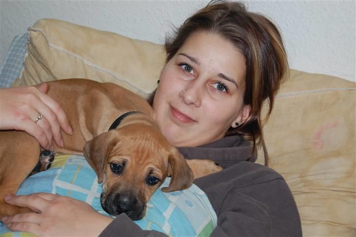 Blanding af racer Tyson - Lille Tyson er kun 8 uger gammel ;) billede 9