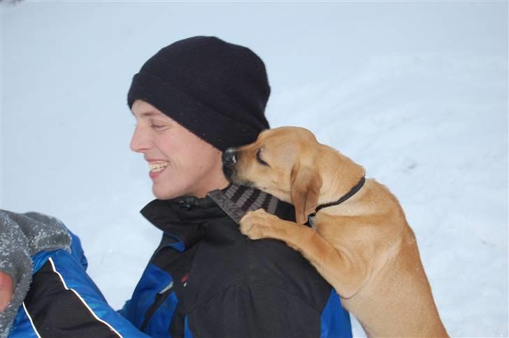 Blanding af racer Tyson - Tyson ville lige skubbe Nicklas og Michael på vej ned af bakken med kælk ;) billede 13