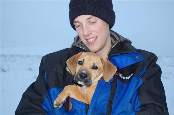 Blanding af racer Tyson - Der var lidt koldt og hårdt at rende rundt i sneen :) billede 15