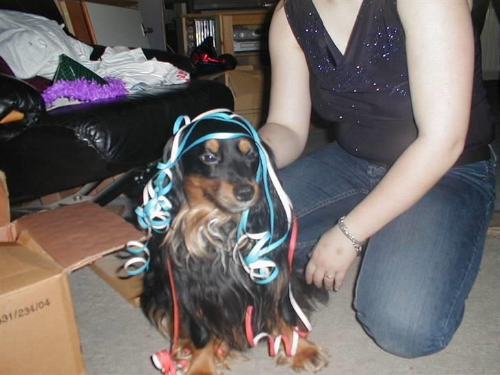 Blanding af racer Max - Nytår 2004. Så fester vi. billede 4