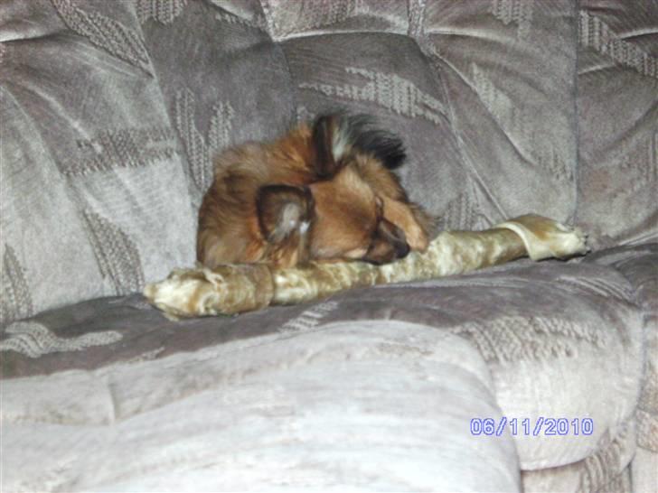 Blanding af racer King billede 3