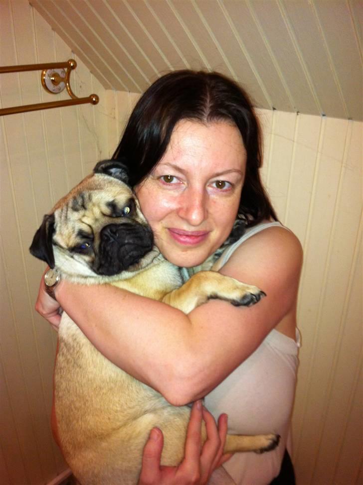 Mops Møffe - Vild med Møffe billede 5